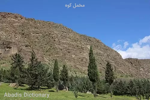 مخمل کوه